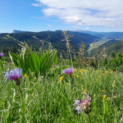 Massif du Vercors, Alpes, France