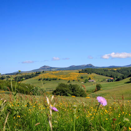 Mont Gerbier Jonc
