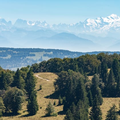 Jura, Mont d'Or, vue sur le Mont Blanc