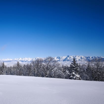 Paysage enneigé du Vercors