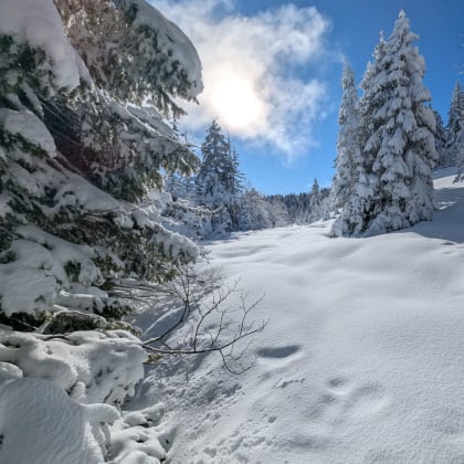 Paysage enneigé du Vercors