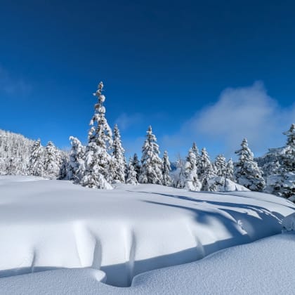 Paysage enneigé du Vercors