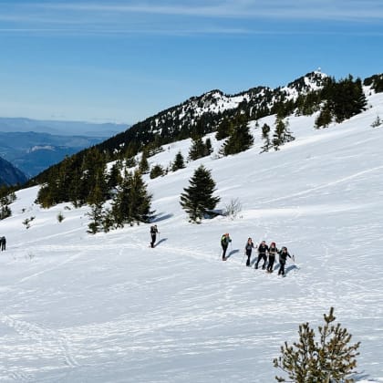 groupe de randonneurs à raquette dans le Vercors