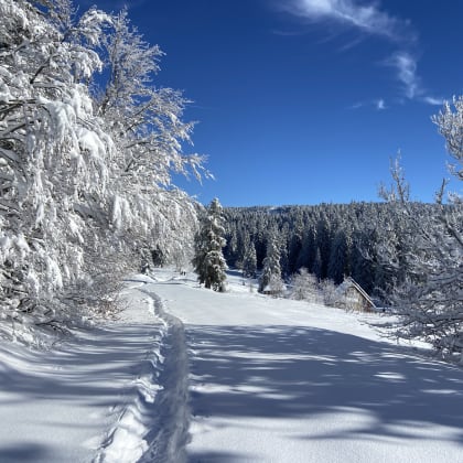 Paysage enneigé du Vercors