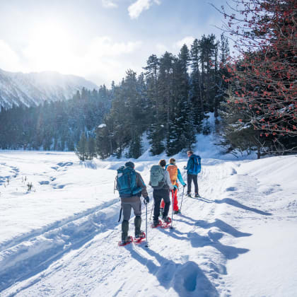Salardu, Val d'Aran, Aragon, Hiver