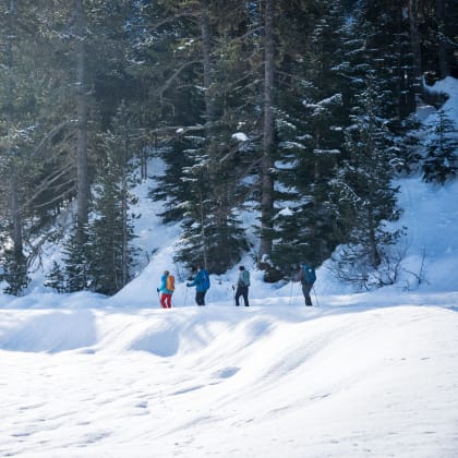 Salardu, Val d'Aran, Aragon, Hiver
