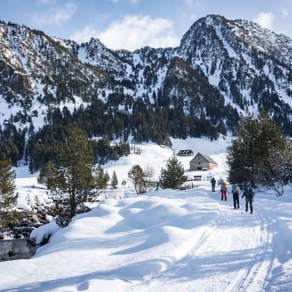Salardu, Val d'Aran, Aragon, Hiver