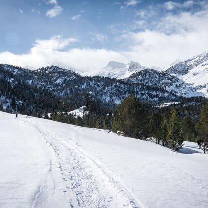 Salardu, Val d'Aran, Aragon, Hiver