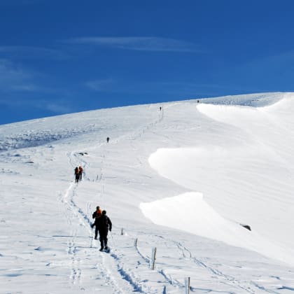 Randonnée raquettes en Ariège