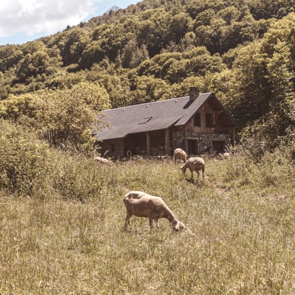 Les Hauts de Saint-Lary, vallée d'Aure, Hautes-Pyrénées