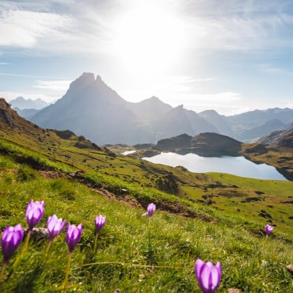 Automn in Ossau Valley / View of the Pic du Midi d'Ossau