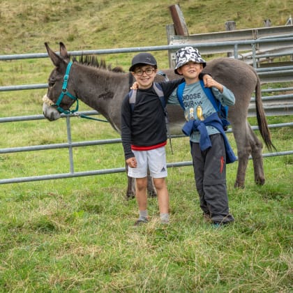 enfants, ânes, randonnée en famille, Val d'Azun, Hautes-Pyrénées