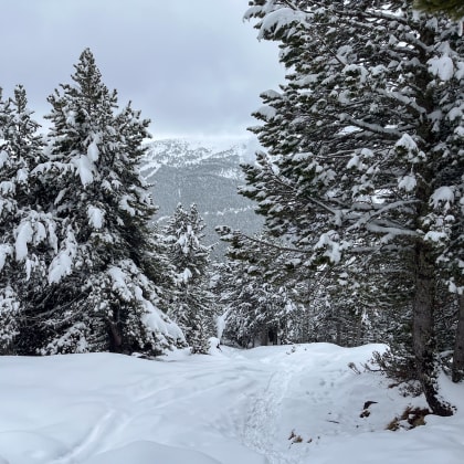 Paysage d'Andorre sous la neige