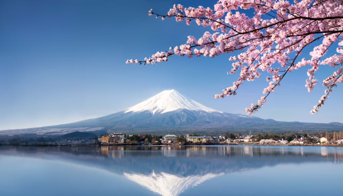 Panorama sur le Mont Fuji enneigé