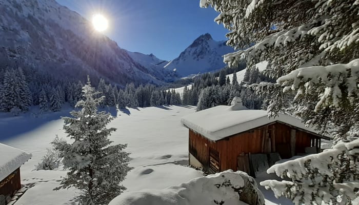 Pays du Mont-Blanc