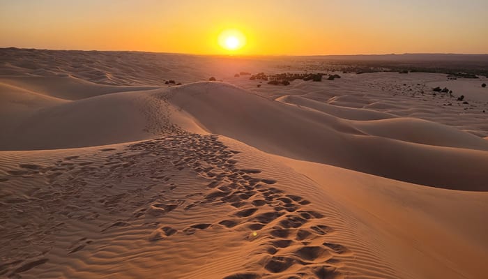 Coucher de soleil dans les dunes