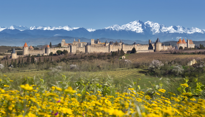 Vue sur la Cité médiévale de Carcasonne