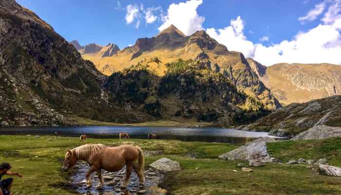 Lac d'Espingo